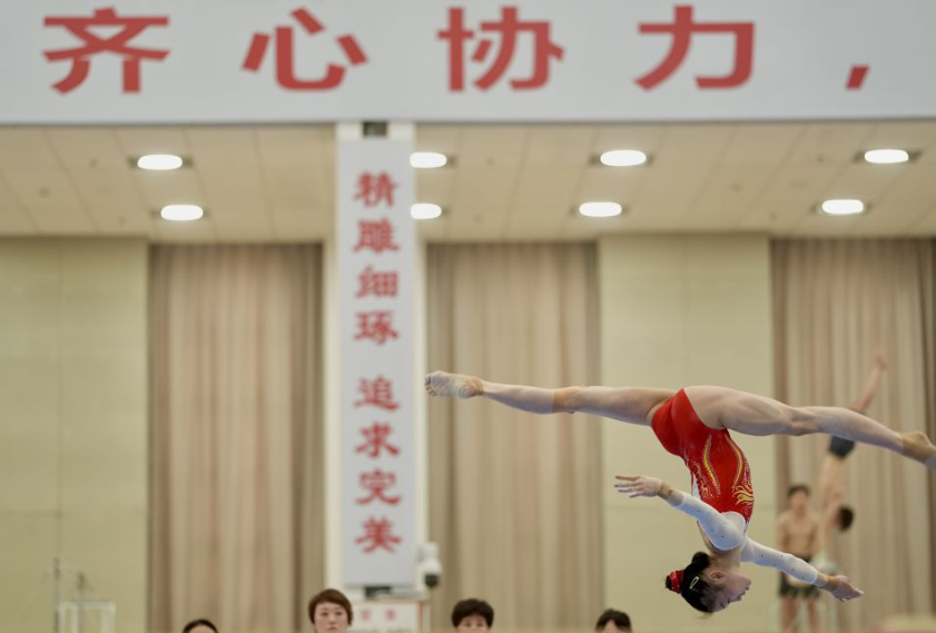 杏彩生命的动人与挑战