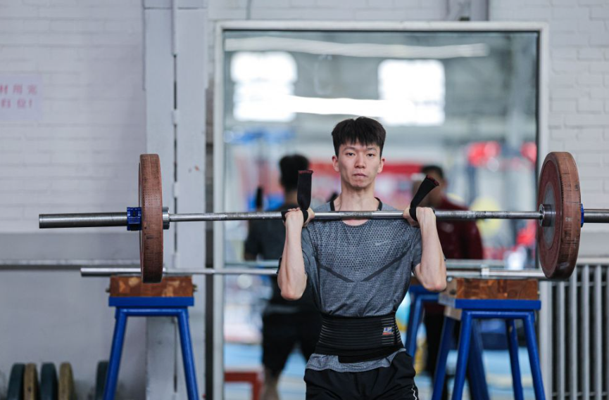 杏彩注册参与的活动与赛事总结